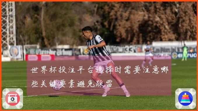 世界杯投注平台选择时需要注意哪些关键要素避免踩雷