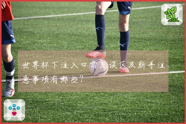 世界杯下注入口常见误区及新手注意事项有哪些？