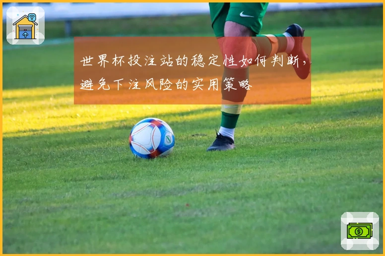 世界杯投注站的稳定性如何判断，避免下注风险的实用策略