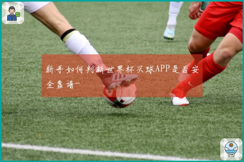 新手如何判断世界杯买球APP是否安全靠谱-