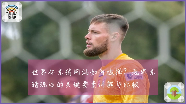 世界杯竞猜网站如何选择？冠军竞猜玩法的关键要素详解与比较