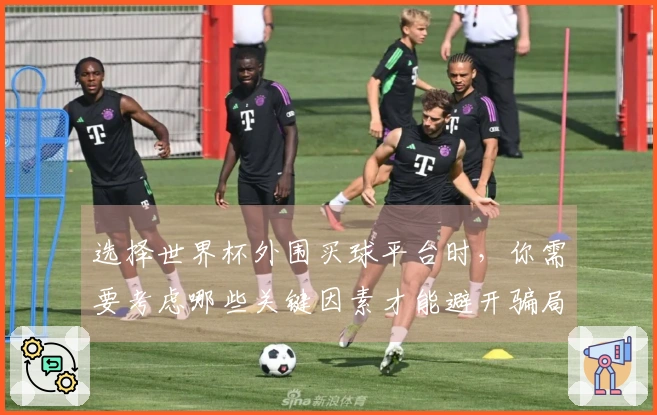 选择世界杯外围买球平台时，你需要考虑哪些关键因素才能避开骗局？