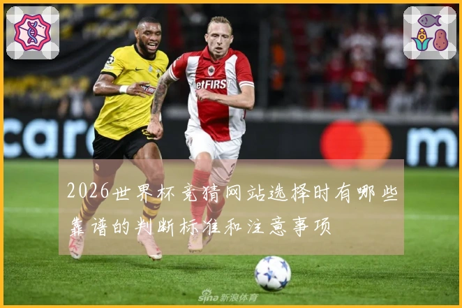 2026世界杯竞猜网站选择时有哪些靠谱的判断标准和注意事项