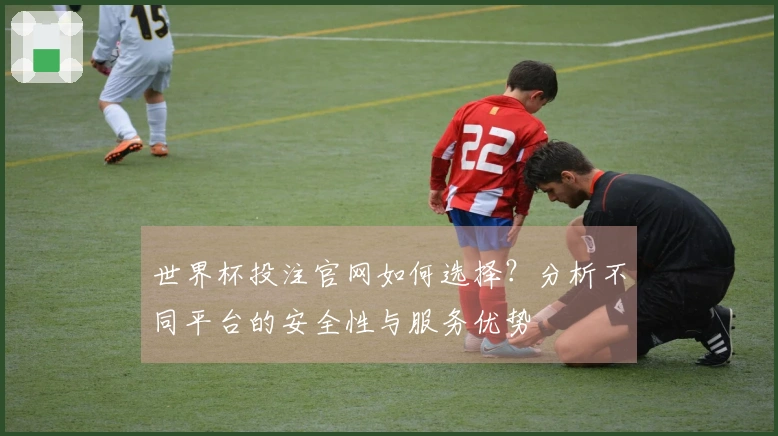 世界杯投注官网如何选择？分析不同平台的安全性与服务优势
