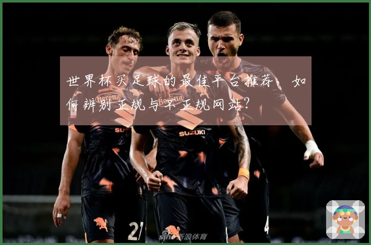 世界杯买足球的最佳平台推荐，如何辨别正规与不正规网站？