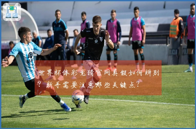 世界杯体彩竞猜官网真假如何辨别？新手需要注意哪些关键点？