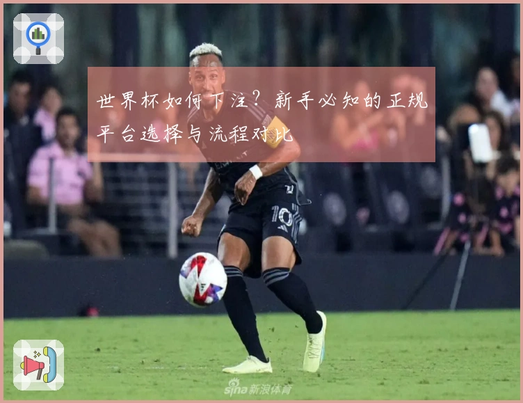 世界杯如何下注？新手必知的正规平台选择与流程对比