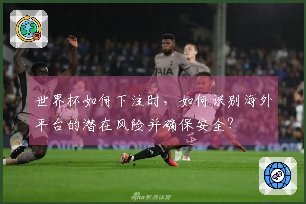 世界杯如何下注时，如何识别海外平台的潜在风险并确保安全？