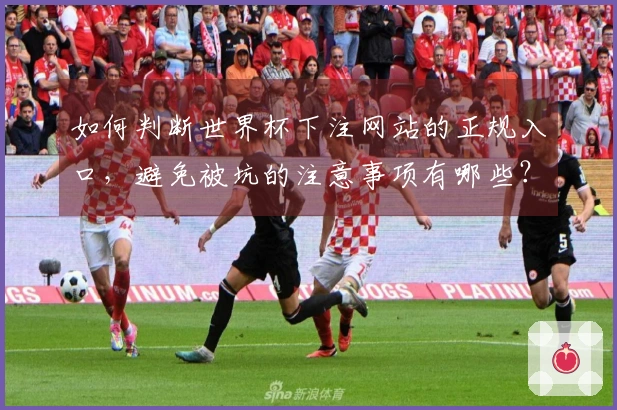 如何判断世界杯下注网站的正规入口，避免被坑的注意事项有哪些？