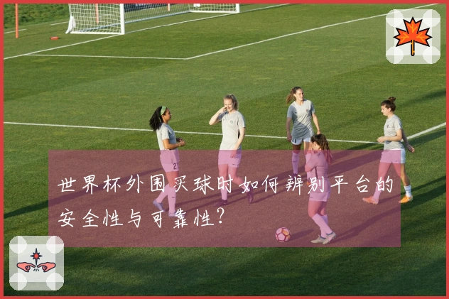 世界杯外围买球时如何辨别平台的安全性与可靠性？