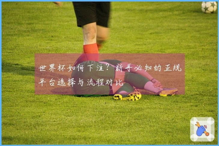 世界杯如何下注？新手必知的正规平台选择与流程对比