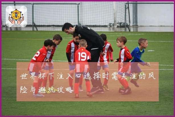 世界杯下注入口选择时需关注的风险与避坑攻略