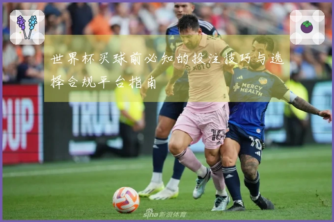 世界杯买球前必知的投注技巧与选择合规平台指南