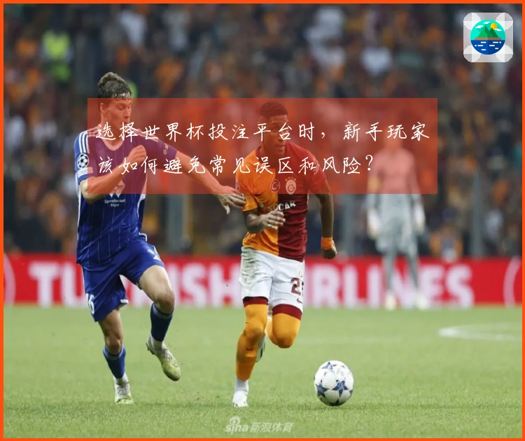 选择世界杯投注平台时，新手玩家该如何避免常见误区和风险？
