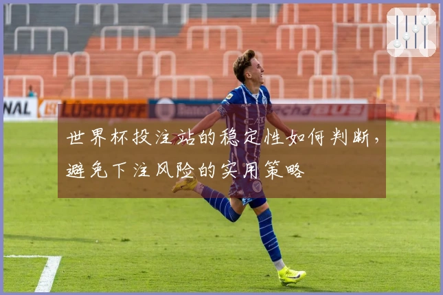 世界杯投注站的稳定性如何判断，避免下注风险的实用策略