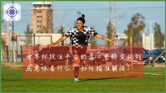 世界杯投注平台的盘口升降变化到底意味着什么？如何精准解读？