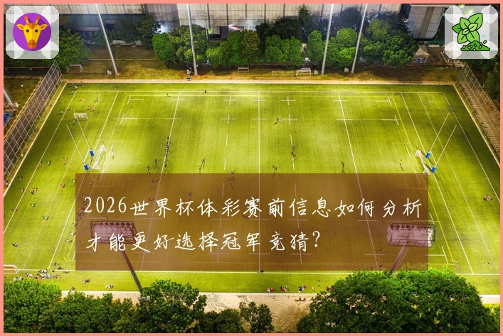 2026世界杯体彩赛前信息如何分析才能更好选择冠军竞猜？
