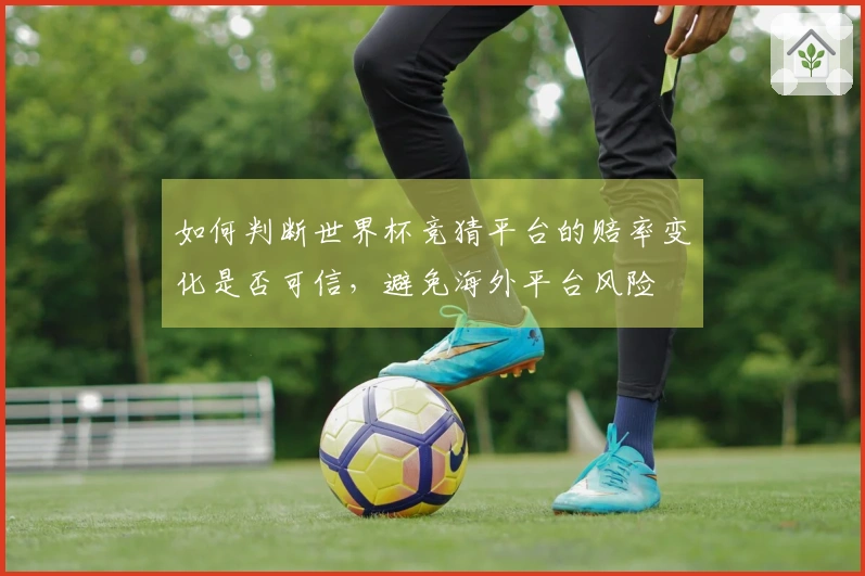 如何判断世界杯竞猜平台的赔率变化是否可信，避免海外平台风险