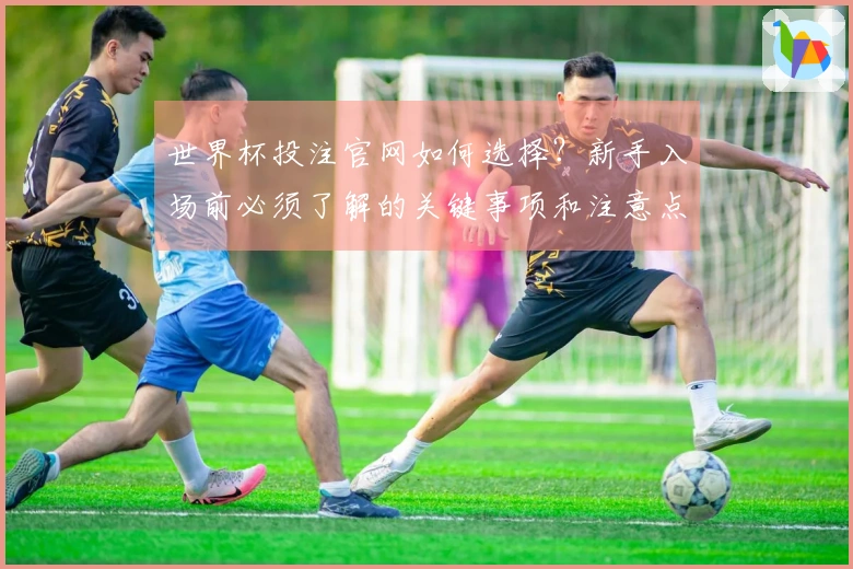 世界杯投注官网如何选择？新手入场前必须了解的关键事项和注意点