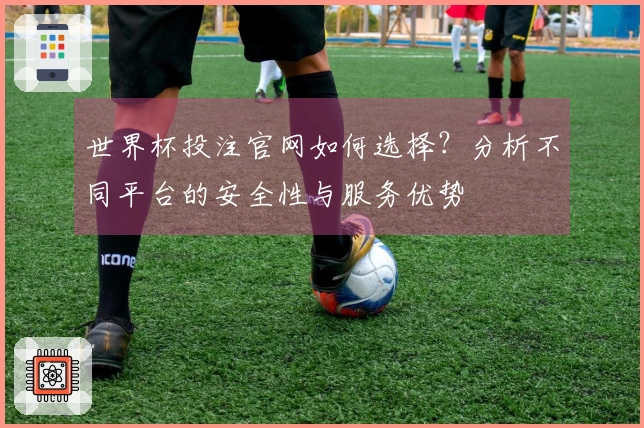 世界杯投注官网如何选择？分析不同平台的安全性与服务优势
