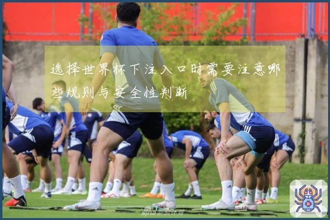 选择世界杯下注入口时需要注意哪些规则与安全性判断