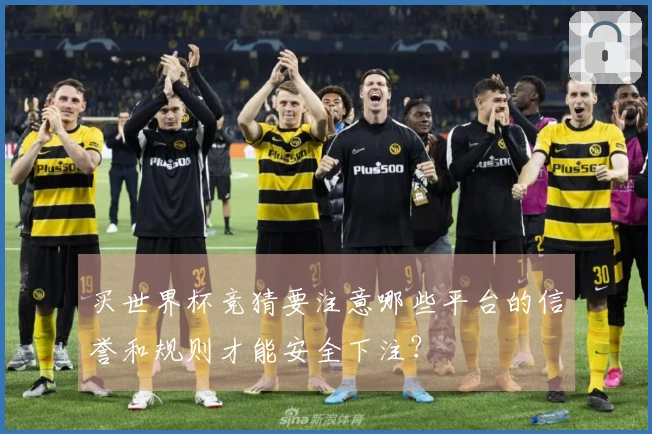 买世界杯竞猜要注意哪些平台的信誉和规则才能安全下注？