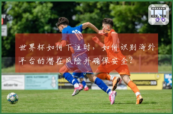 世界杯如何下注时，如何识别海外平台的潜在风险并确保安全？
