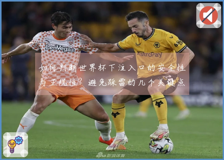 如何判断世界杯下注入口的安全性与正规性？避免踩雷的几个关键点