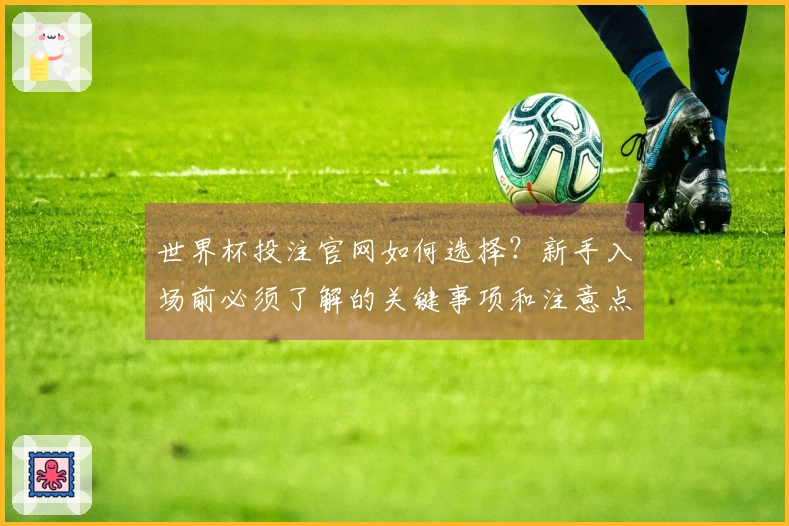 世界杯投注官网如何选择？新手入场前必须了解的关键事项和注意点