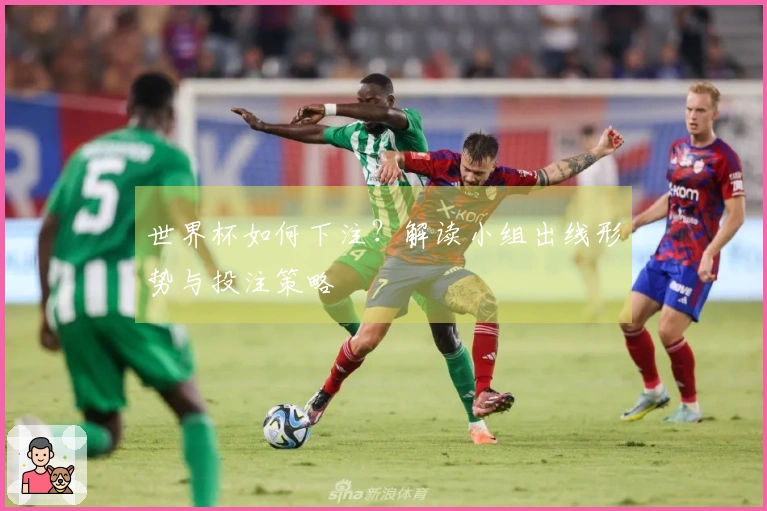 世界杯如何下注？解读小组出线形势与投注策略