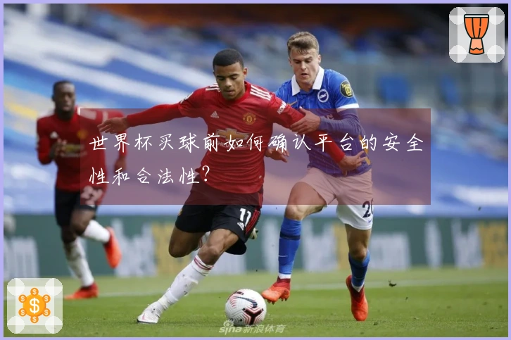世界杯买球前如何确认平台的安全性和合法性？