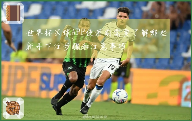 世界杯买球APP使用前需要了解哪些新手下注步骤和注意事项