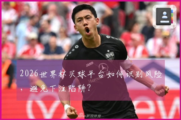 2026世界杯买球平台如何识别风险，避免下注陷阱？